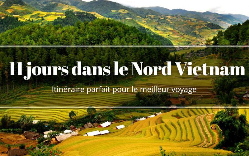 11 jours dans le Nord Vietnam : Itinéraires idéaux pour une expérience parfaite