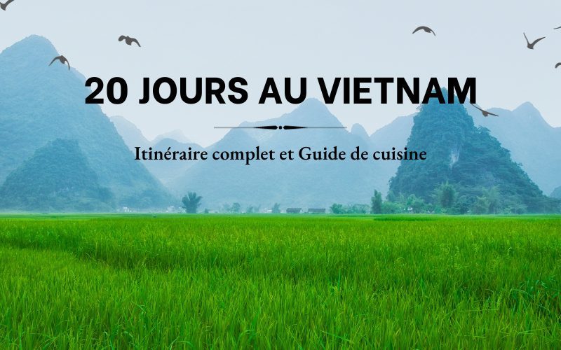 20 jours au Vietnam Itinéraire complet et Guide de cuisine