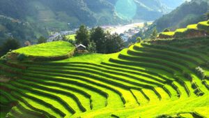 Aventure dans le Nord-Ouest Vietnam 6 Jours