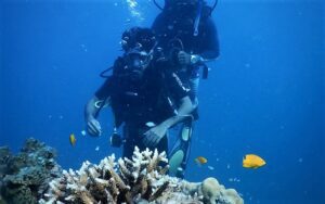 Aventure de plongée sous-marine - Ngapali, Myanmar