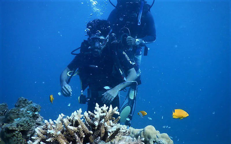 Aventure de plongée sous-marine - Ngapali, Myanmar