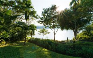 Au jardin Pha Tad Ke