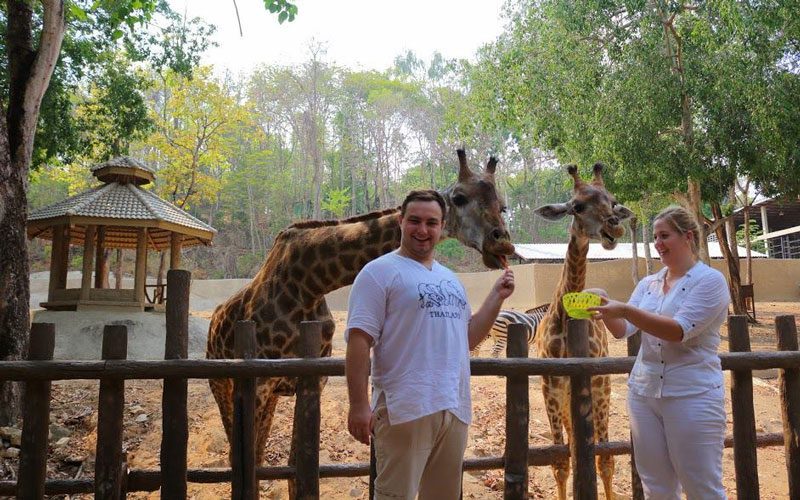 Au zoo de Chiang Mai