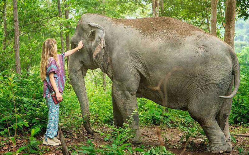 Aventure Familiale en Thaïlande : Chiang Mai en 7 Jours