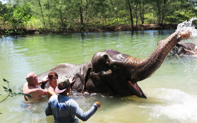 Baignade des éléphants au Seaside Retreat Elephant Camp Khao Lak