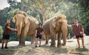 3 voyageurs avec 2 éléphants majestueux dans un sanctuaire naturel, vêtus de vêtements traditionnels colorés, entourés d'une forêt verdoyante