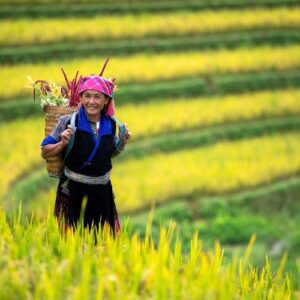Boucle du Nord-Ouest du Vietnam en 12 jours