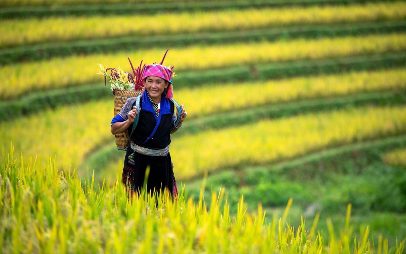 Boucle du Nord-Ouest du Vietnam en 12 jours