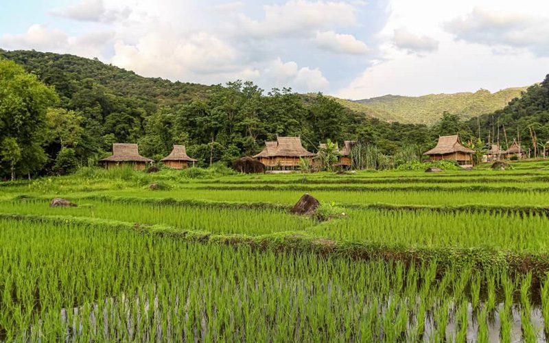 Ban Chom Ong