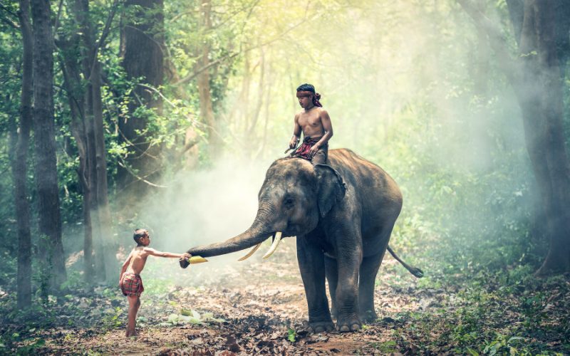 Exploration des merveilles du Vietnam Cambodge en 13 jours