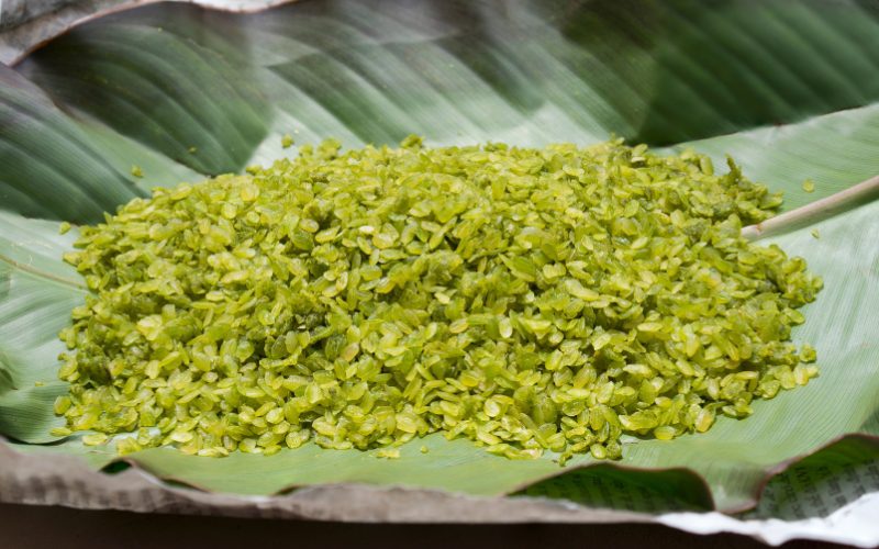 Com à Hanoï en septembre