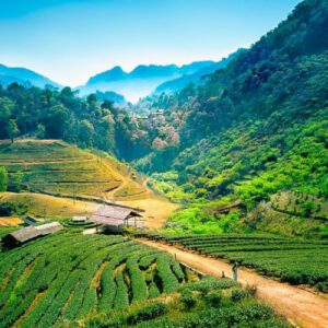 Circuit 9 jours en Thaïlande : Voyage mémorable du Nord au Sud