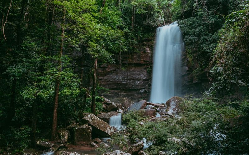 Cascade Nam Kat