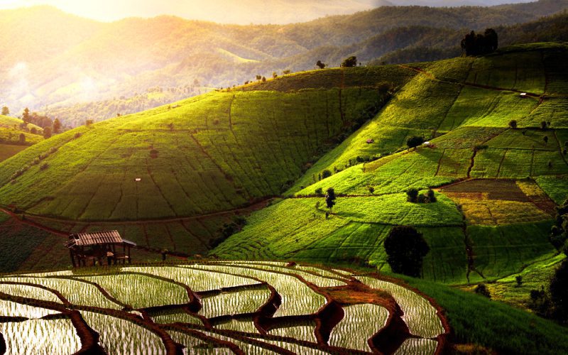 Chiang Mai