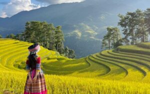 Circuit Vietnam 17 jours depuis Phu Quoc