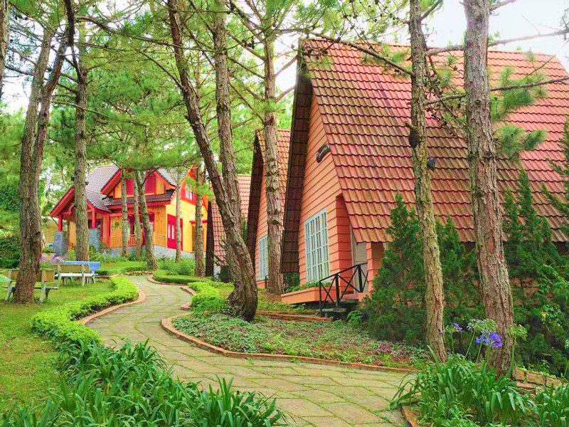 Colline Mong Mo- Dalat