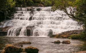 cascades Tad Xay