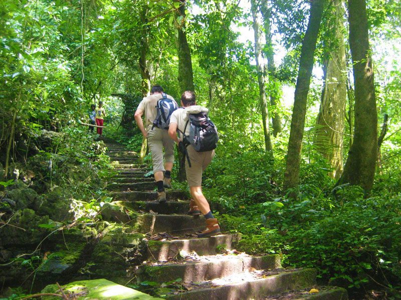 Découverte au parc national de Cuc Phuong