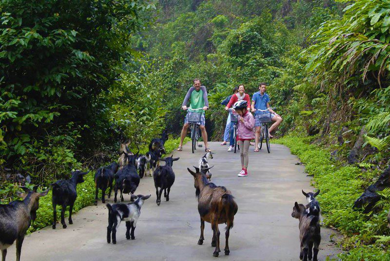 Découverte du village de Viet Hai