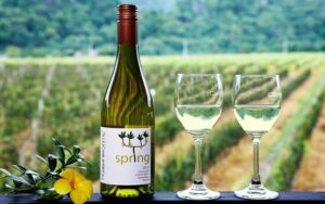 Déguster le vin au vignoble GranMonte