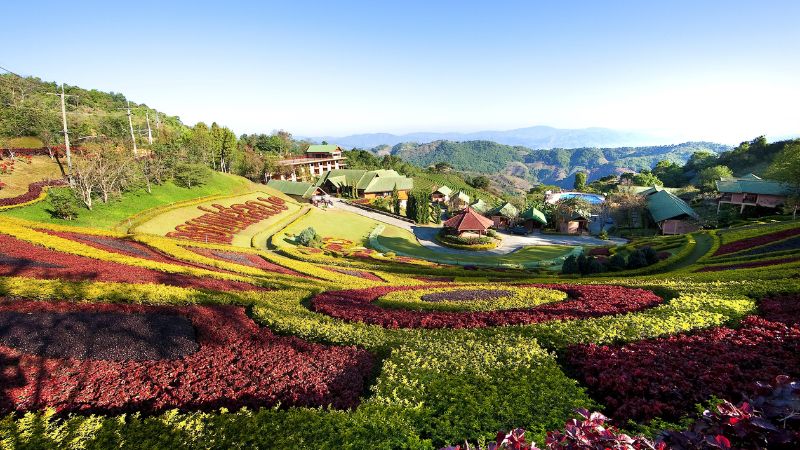 Doi Mae Salong