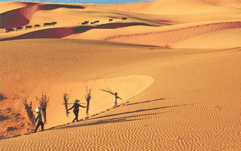 Dunes de sable rouge