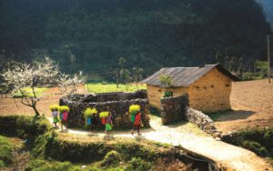 Découvrir la culture et la beauté de Ha Giang
