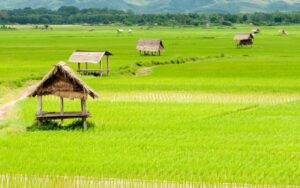Découverte du Nord Laos en 5 jours