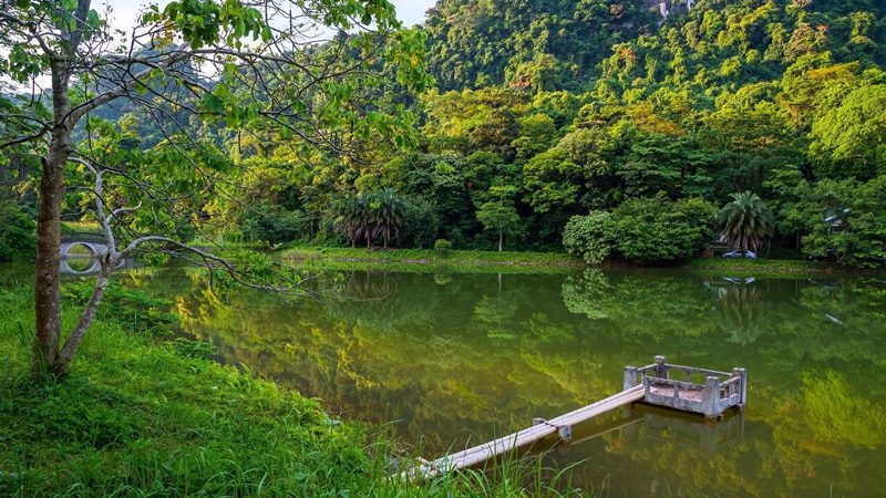 Découverte du parc national de Cuc Phuong à Ninh Binh une journée