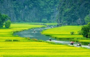 Découverte et volontariat au Nord Vietnam en 9 jours