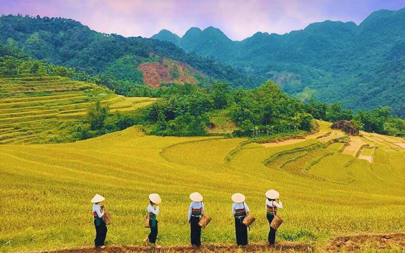 Excursion de 3 jours à Mai Chau