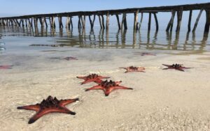 Excursion au nord de Phu Quoc en kayak & Village de pêcheurs en 1 Jour