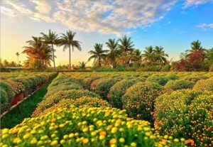 Empreinte du Sud Vietnam en 17 Jours