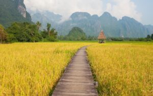 Escapade de 5 jours au Laos