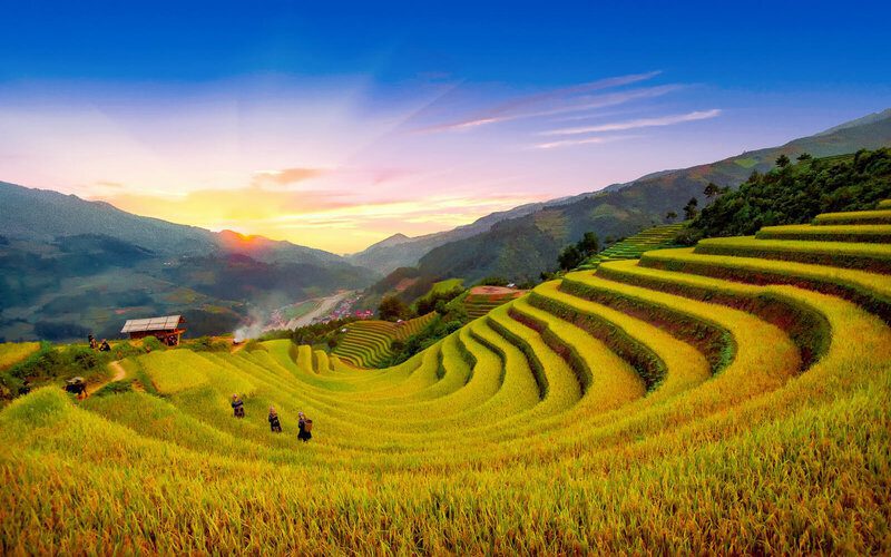 Excursion de 3 jours à Mu Cang Chai en saison du riz mûr