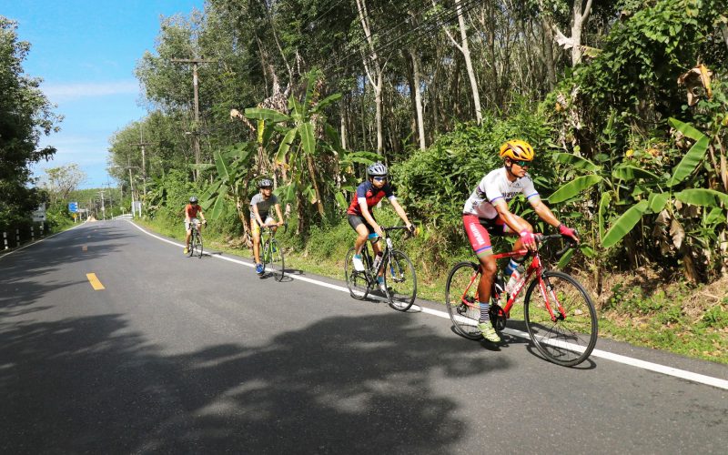 Explorer la jungle à vélo