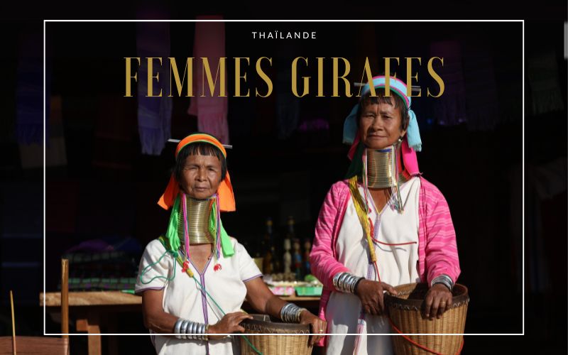 Femmes Girafes de Thaïlande : Un voyage entre culture et responsabilité