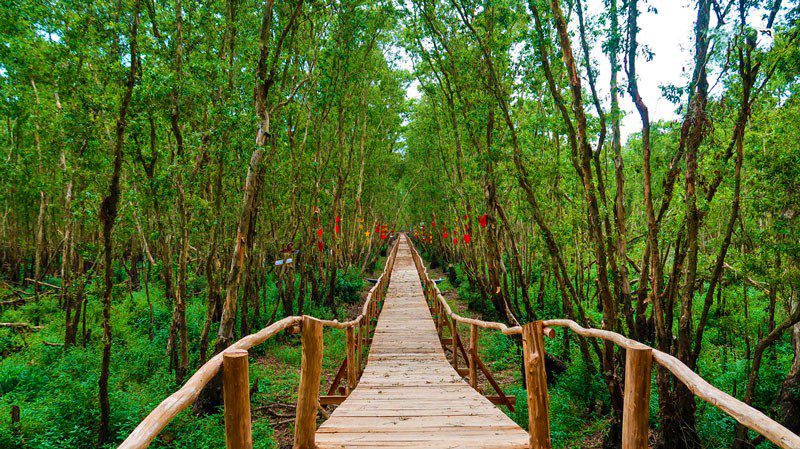 Forêt de Tra Su