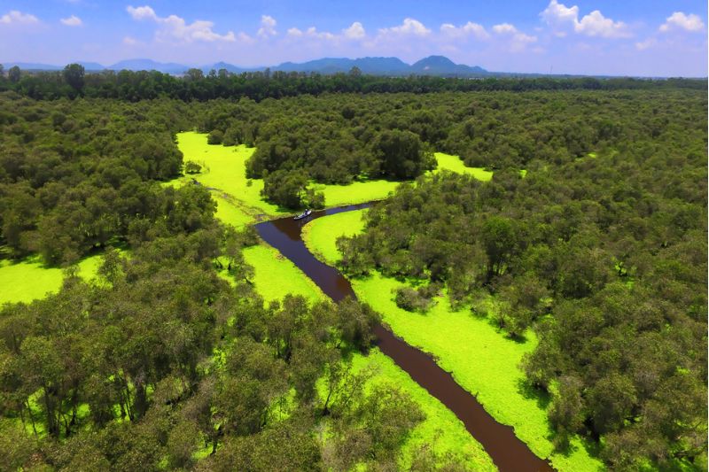 Forêt de cajeputiers de Tra Su
