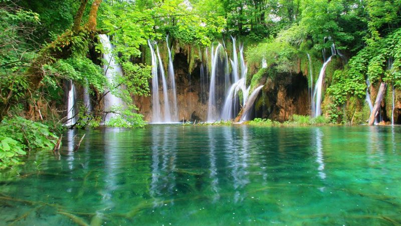 Forêt nationale de Cuc Phuong