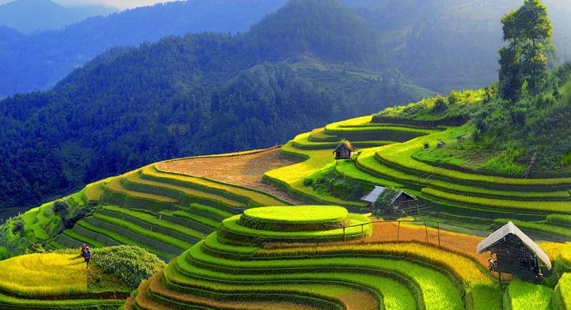 Grand circuit du Vietnam en 20 jours
