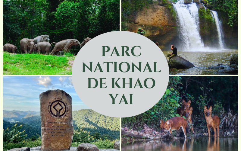 Parc national de Khao Yai : que voir, que faire lors de votre visite ?