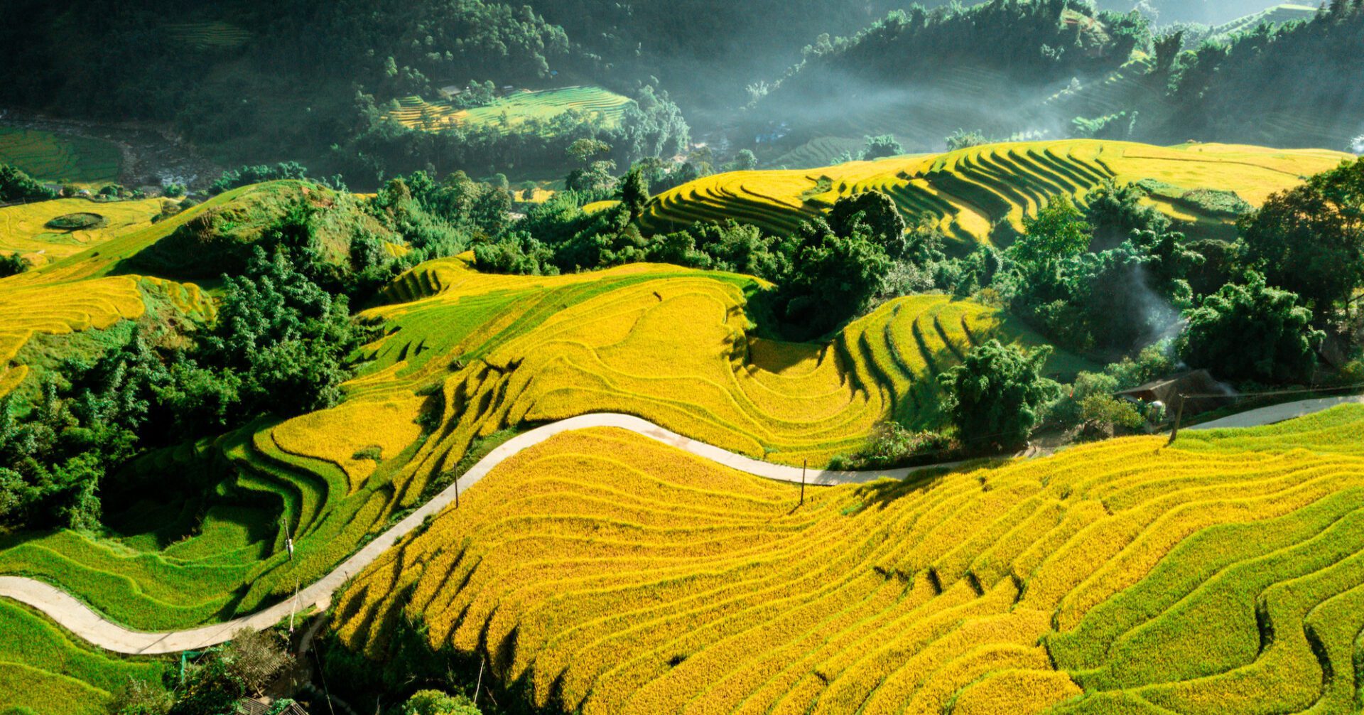 VIETNAM