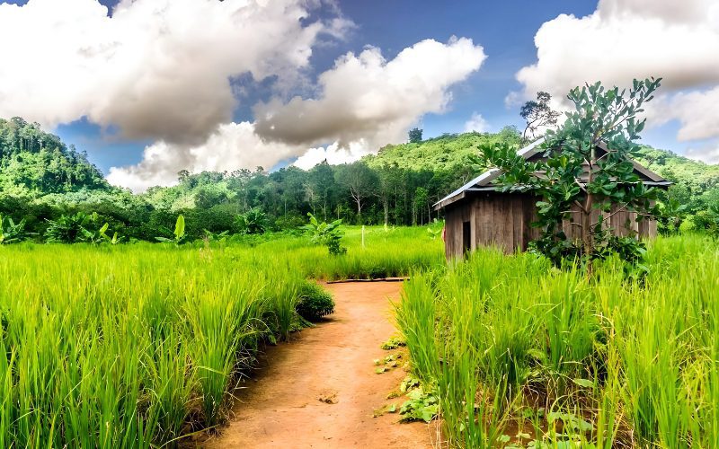 Grand boucle authentique du Cambodge en 15 jours