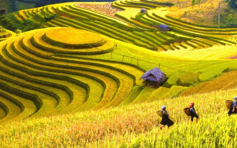 Grand circuit du Vietnam en 14 jours