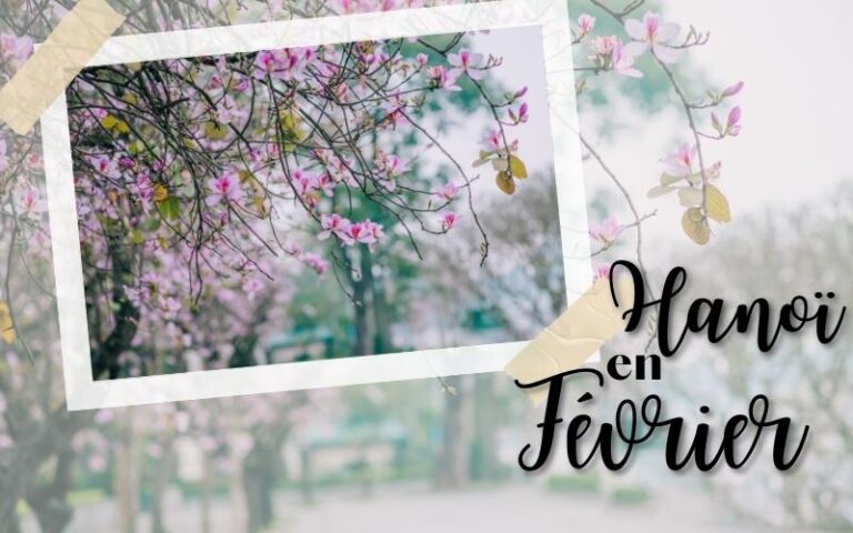 Hanoï en Février : Météo & incontournables au printemps