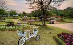 Jardin de Décembre
