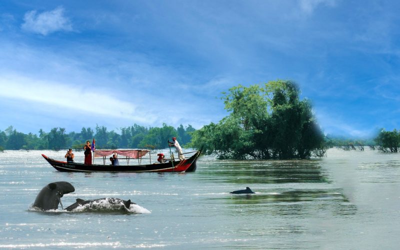 Observation des dauphins d’Irrawaddy sur le Mékong à Kratie, Cambodge, avec un bateau traditionnel transportant des touristes