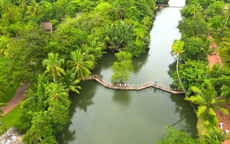 Le village touristique Bình Quới est situé sur la péninsule de Thanh Đa, sur la rue Bình Quới, dans le quartier 28 du district de Bình Thạnh, à Hô-Chi-Minh.