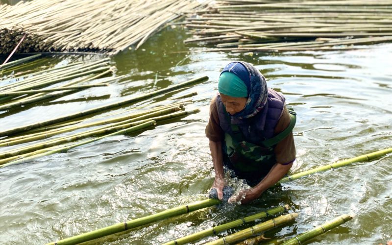 Le bambou doit être lavé et trempé dans l'eau